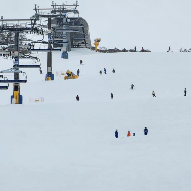 Winter : Snow Adventure