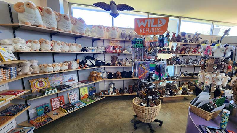 The-big-Merino(Goulburn)7