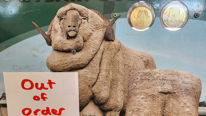 The-big-Merino(Goulburn)9