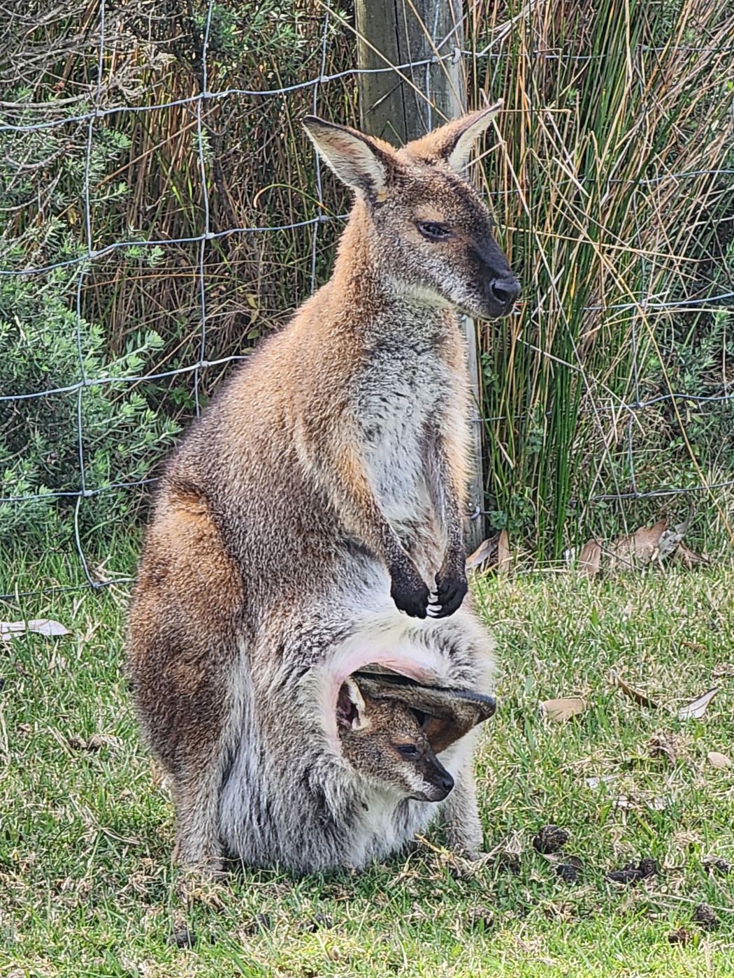 KakaoTalk_20241009_125156774_01